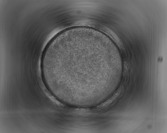 X0000101440788200808041214