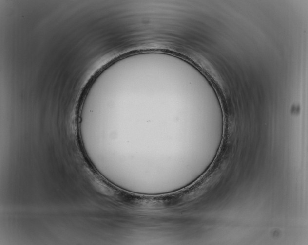 X0000101440789200808041214