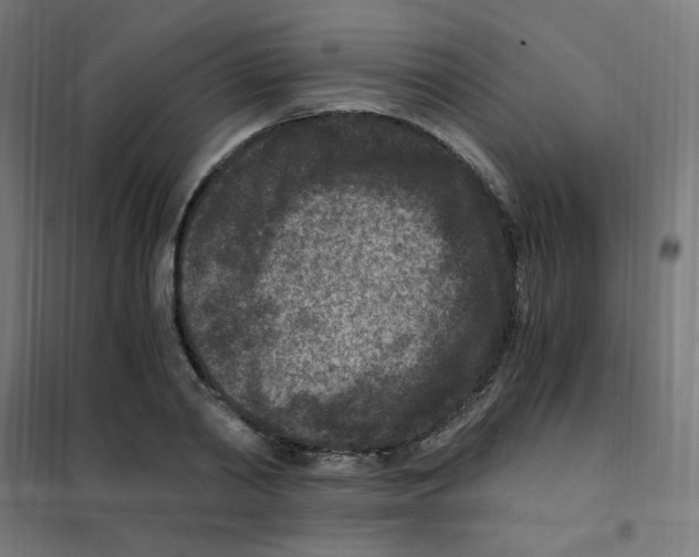 X0000101440790200808041213
