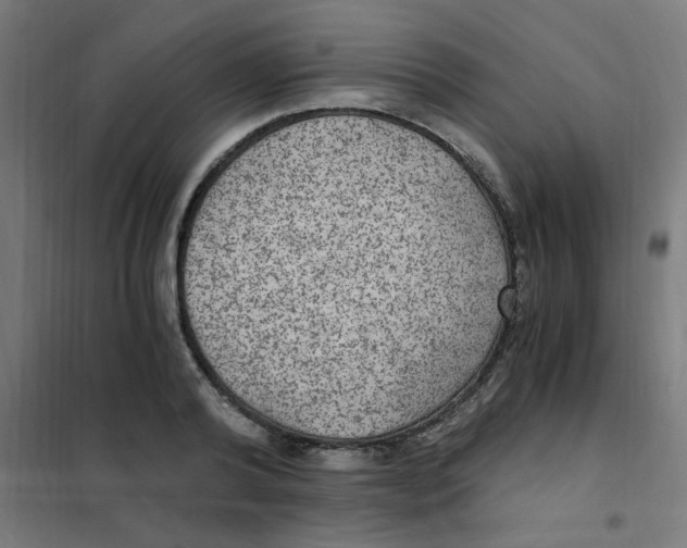 X0000101440792200808041213