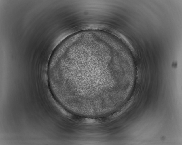 X0000101440794200808041213