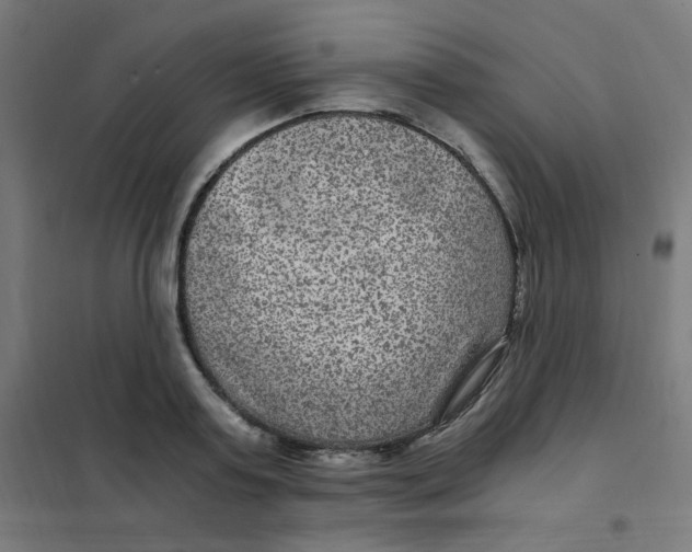 X0000101440795200808041213