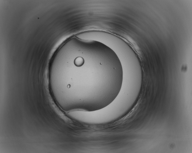 X0000101440796200808041213