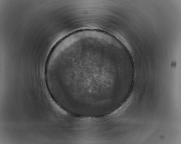 X0000101440797200808041213