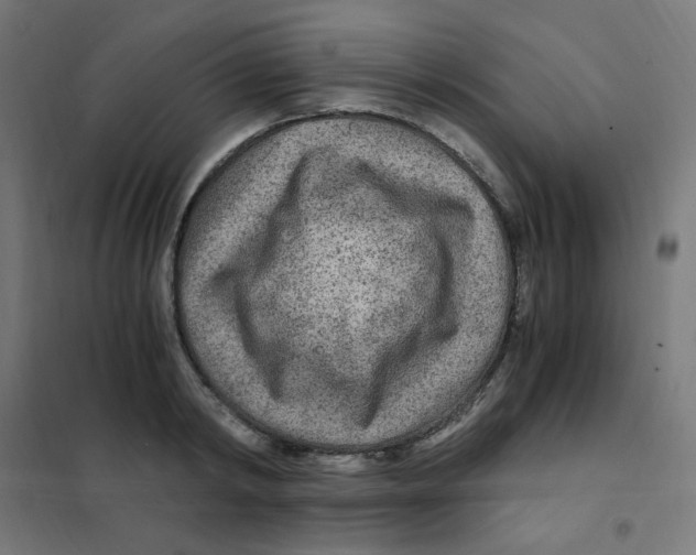 X0000101440798200808041213