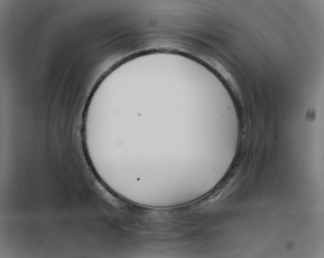 X0000101440799200808041213