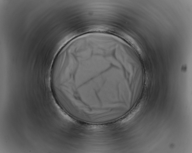 X0000101440802200808041213