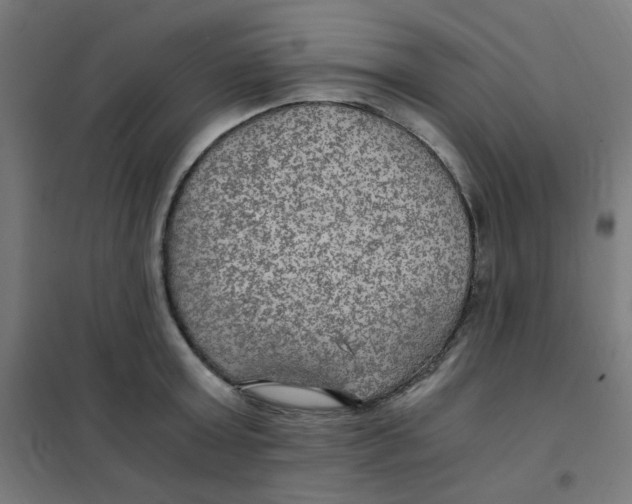 X0000101440803200808041213