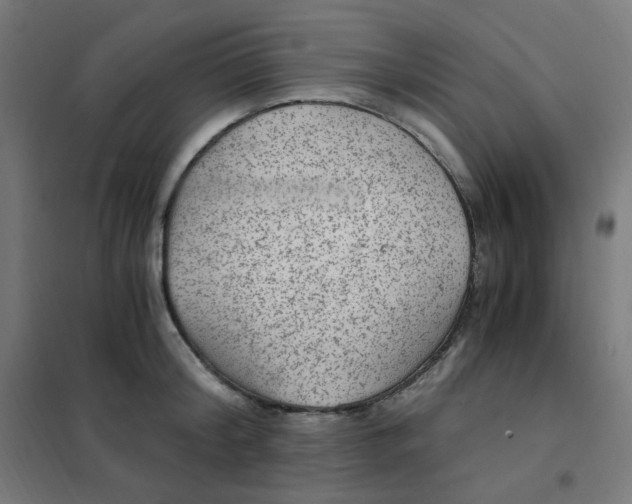X0000101440804200808041213