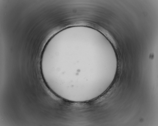 X0000101440805200808041213