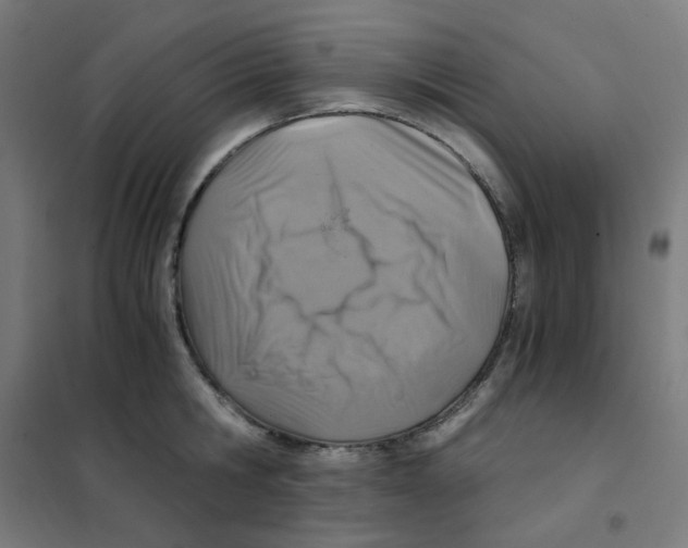 X0000101440806200808041213