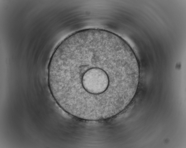 X0000101440807200808041213