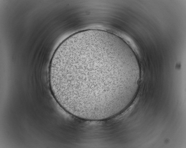 X0000101440808200808041213