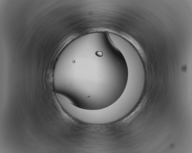X0000101440809200808041213