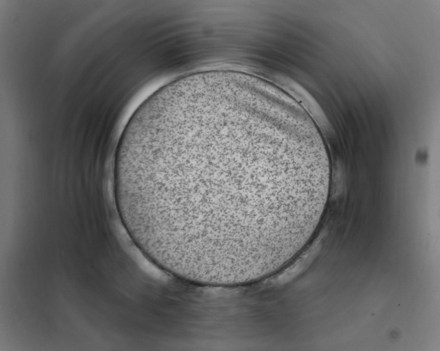 X0000101440812200808041213