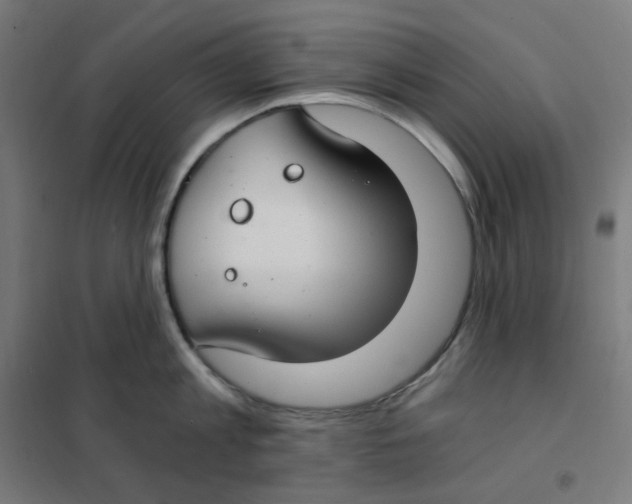 X0000101440813200808041213