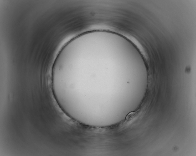 X0000101440815200808041213