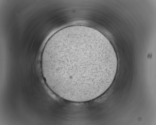X0000101440816200808041213