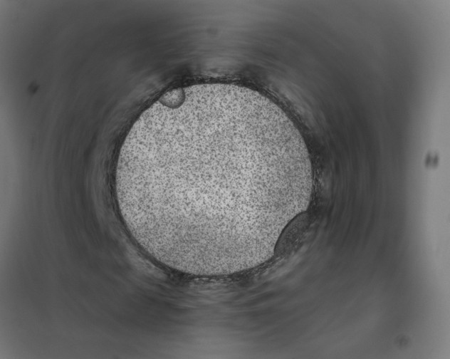 X0000101440817200808041212