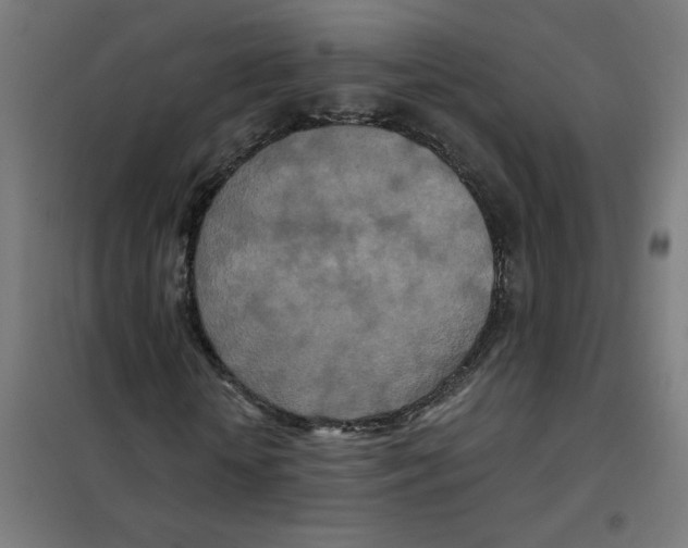 X0000101440818200808041212