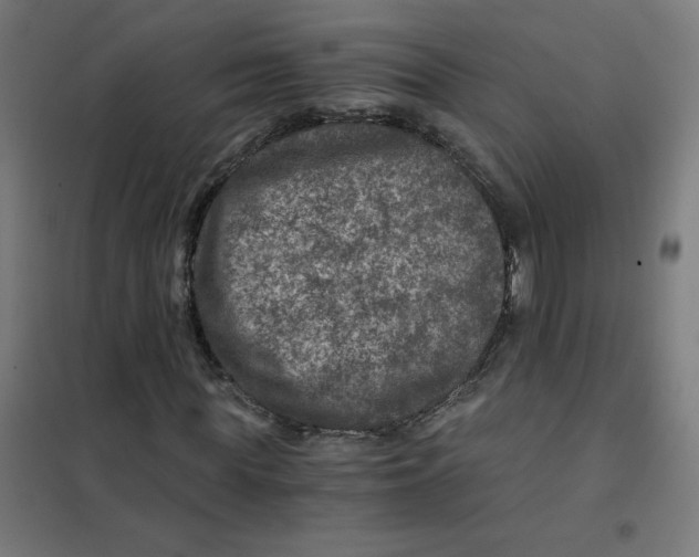X0000101440819200808041212