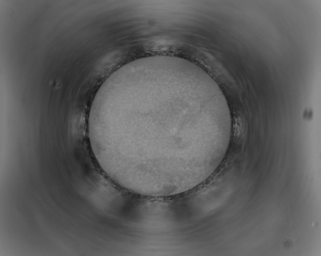 X0000101440820200808041212