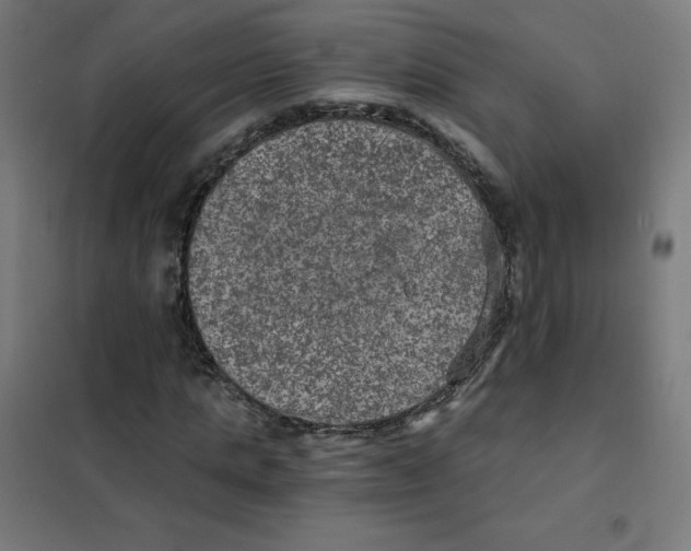 X0000101440821200808041212