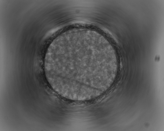 X0000101440822200808041212