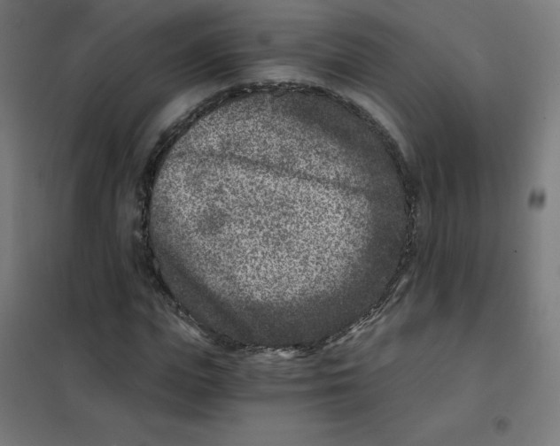 X0000101440823200808041212