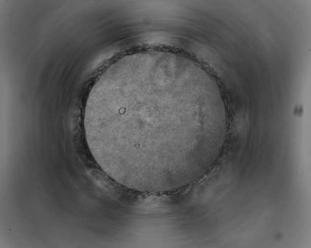 X0000101440824200808041212