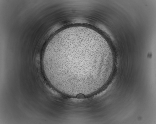 X0000101440825200808041212