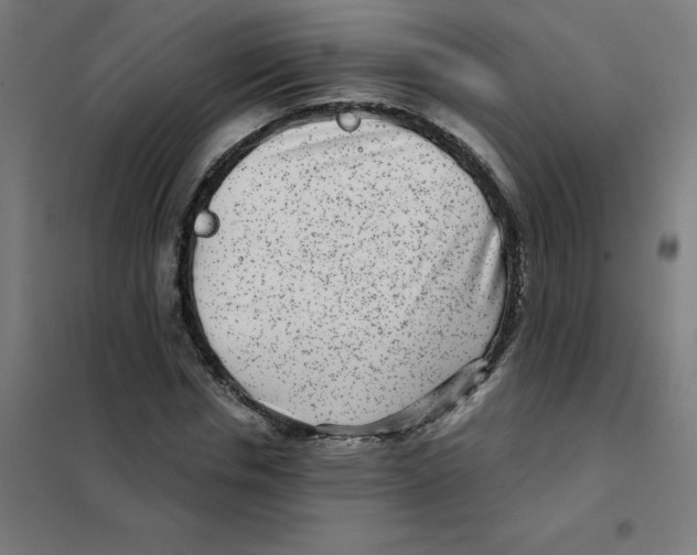 X0000101440826200808041212