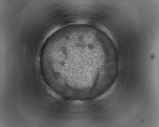 X0000101440827200808041212