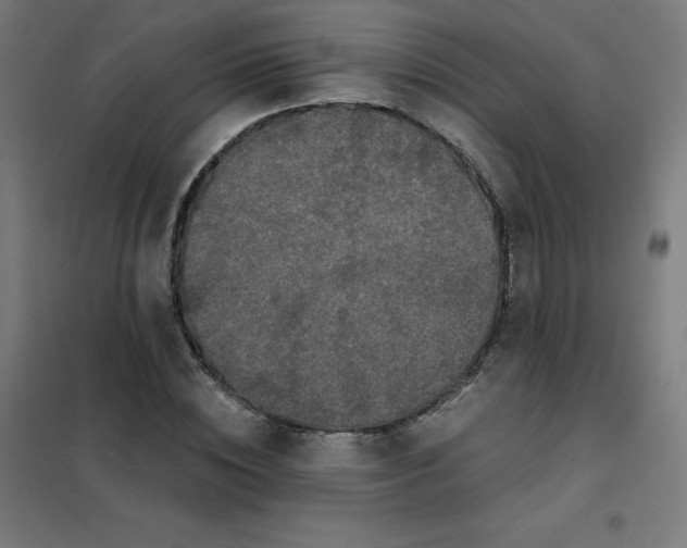 X0000101440828200808041212