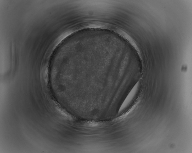 X0000101440829200808041212