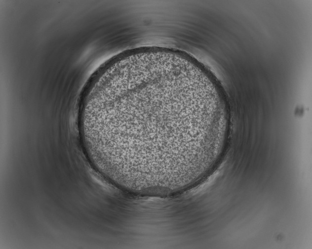 X0000101440830200808041212