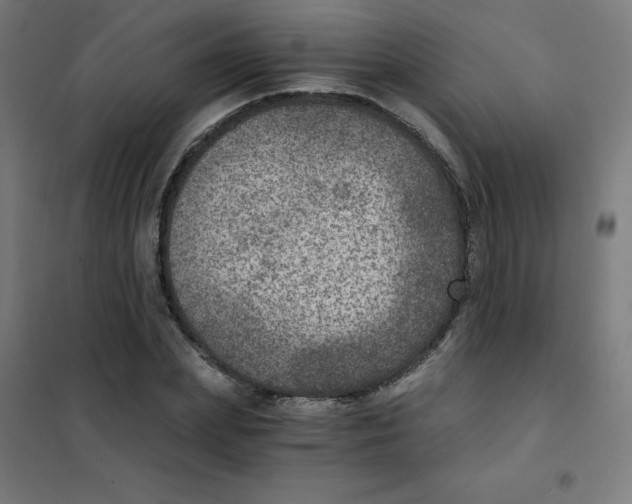 X0000101440831200808041213