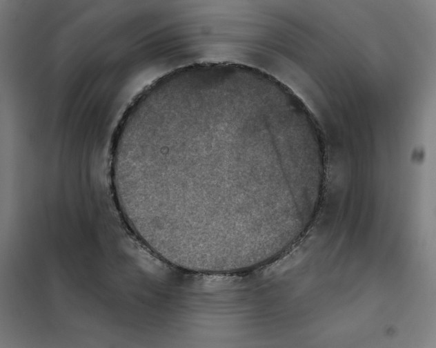 X0000101440832200808041213