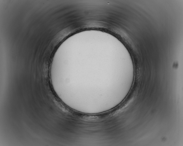 X0000101440833200808041213