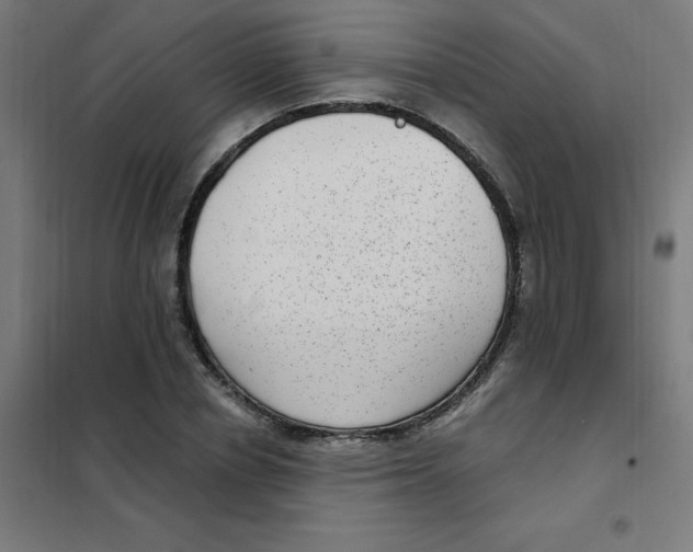 X0000101440834200808041213