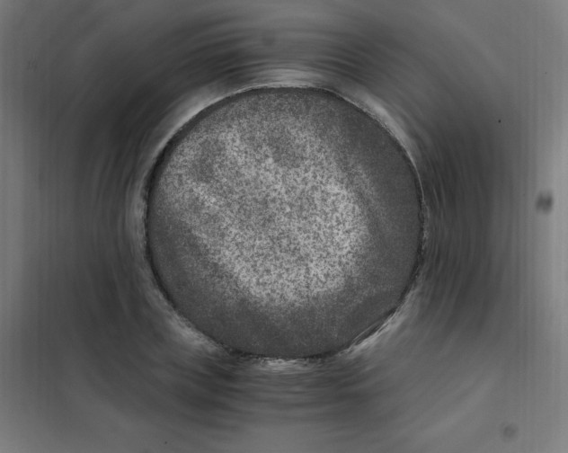 X0000101440835200808041213