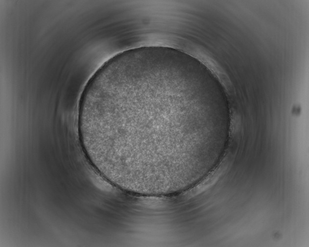X0000101440836200808041213