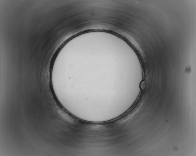 X0000101440837200808041213