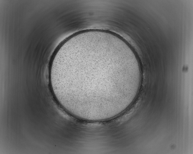 X0000101440838200808041213