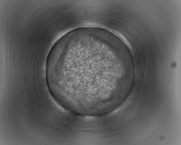 X0000101440839200808041213