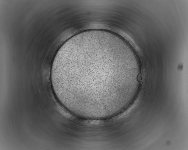 X0000101440841200808041213
