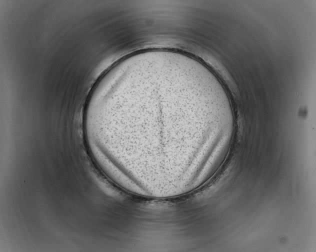 X0000101440842200808041213
