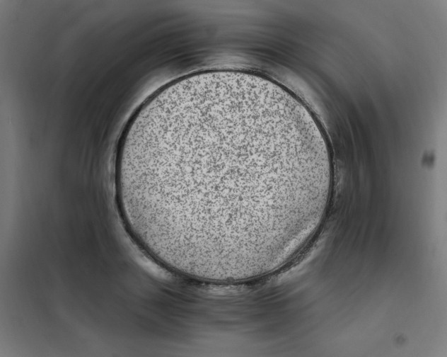 X0000101440843200808041213