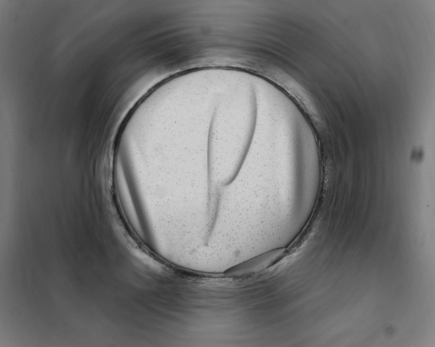 X0000101440844200808041213