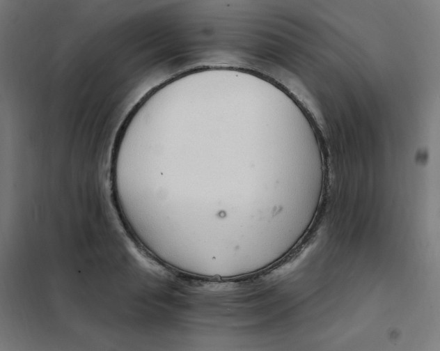 X0000101440845200808041213